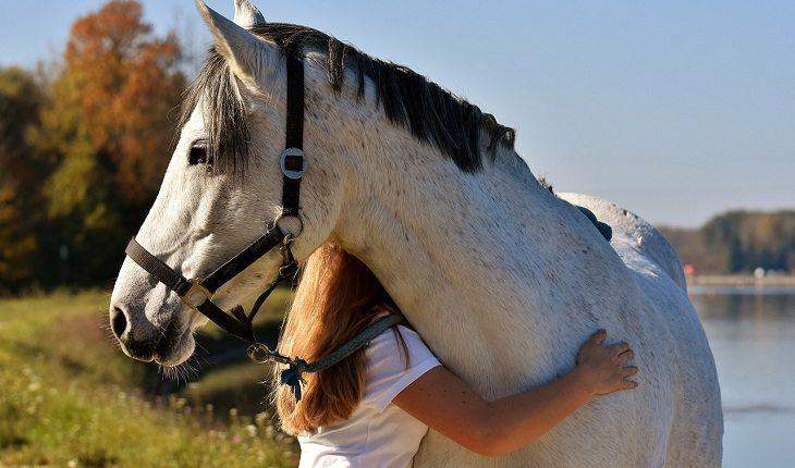 Menina abraça cavalo. papa francisco no twitter.