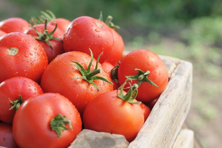 Os benefícios do tomate contra o câncer são comprovados cientificamente.