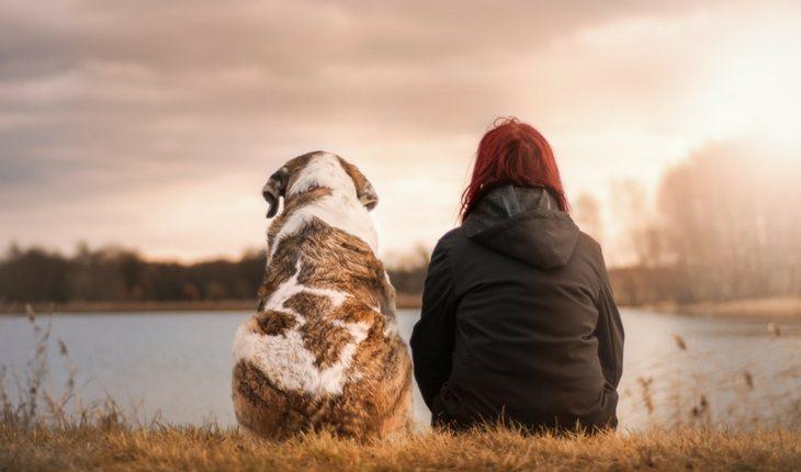 Mulher e cachorro sentados olhando para o horizonte