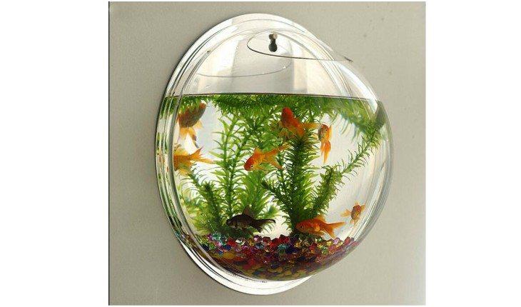 Mini aquário para decorar.