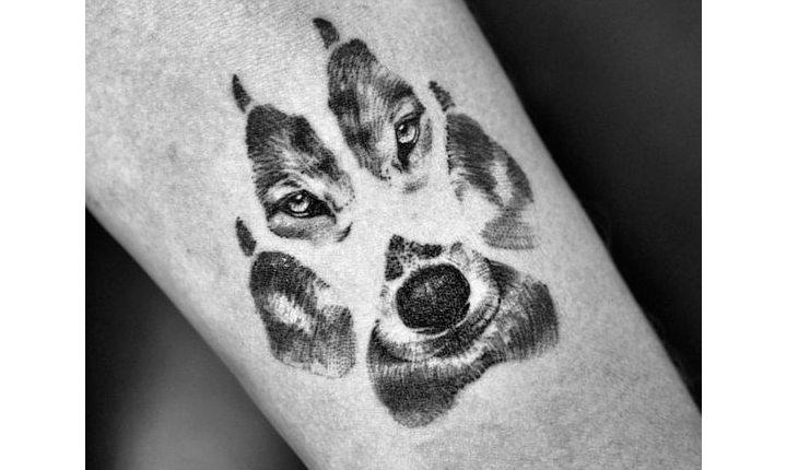 tatuagem de lobo dentro de uma pata