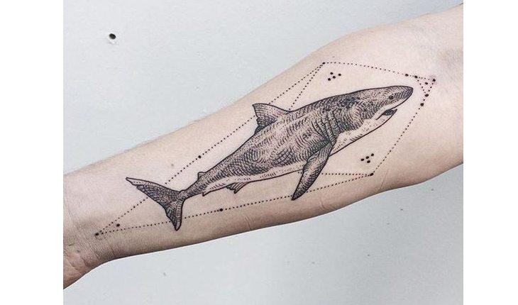 tatuagem de tubarão