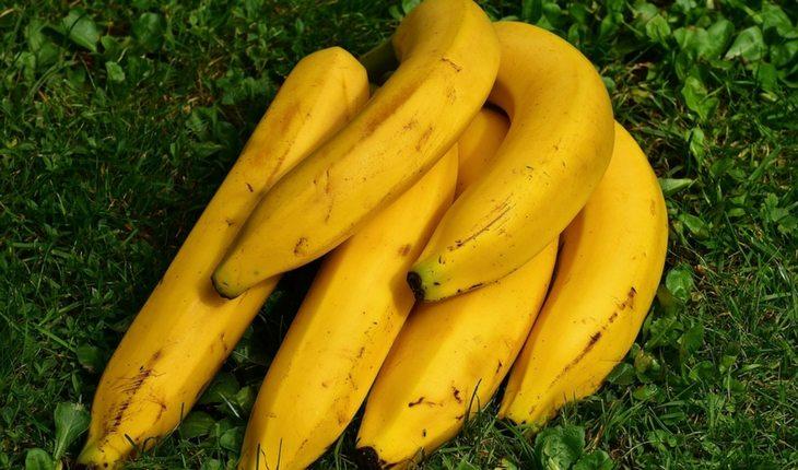 Cacho de bananas maduras