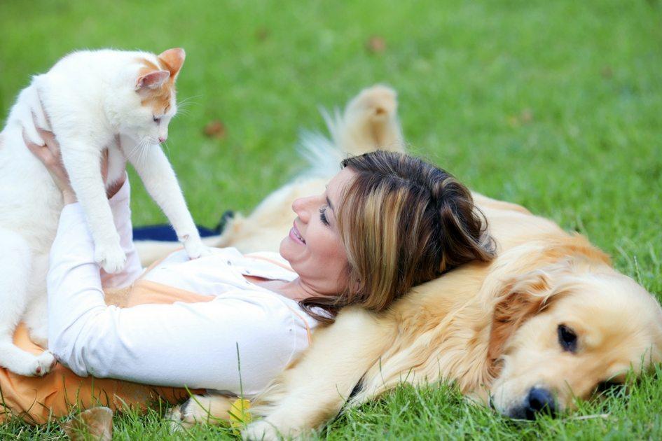 Mulher com gato branco e cachorro golden
