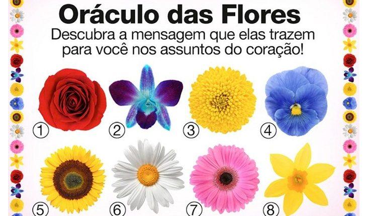 oráculo das flores