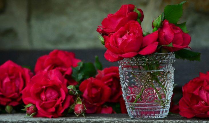 Rosas vermelhas no copo