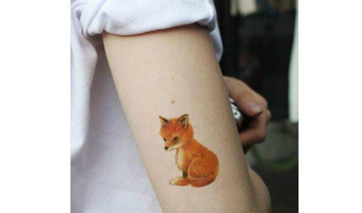 Raposa colorida no braço.