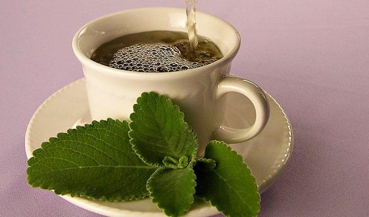 chá de boldo sendo colocado em uma xícara com folhas do lado