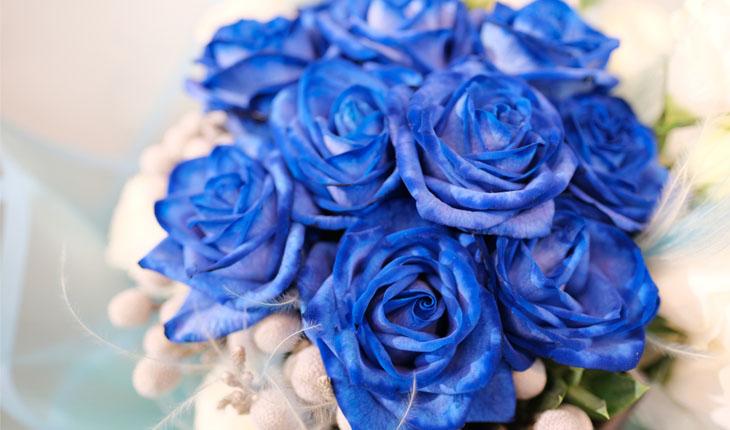 significado da cor das rosas azul