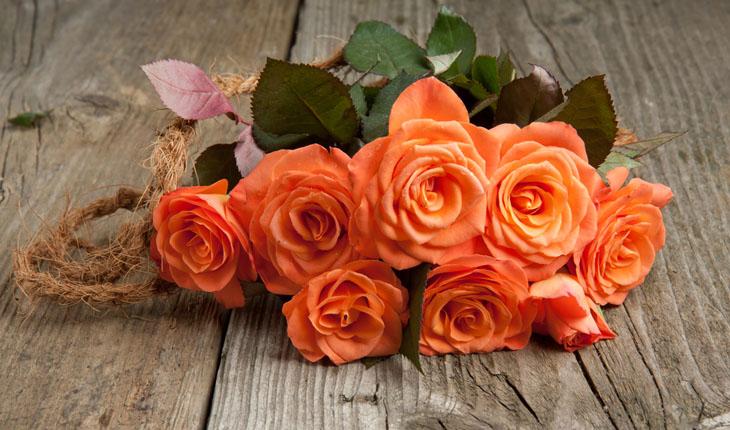 significado da cor das rosas laranja