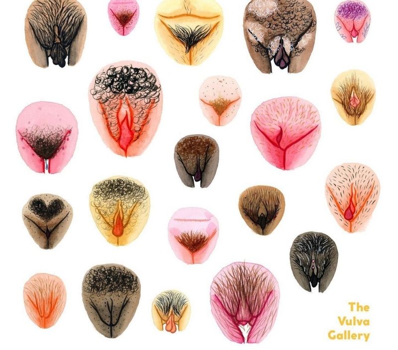 the.vulva.gallery