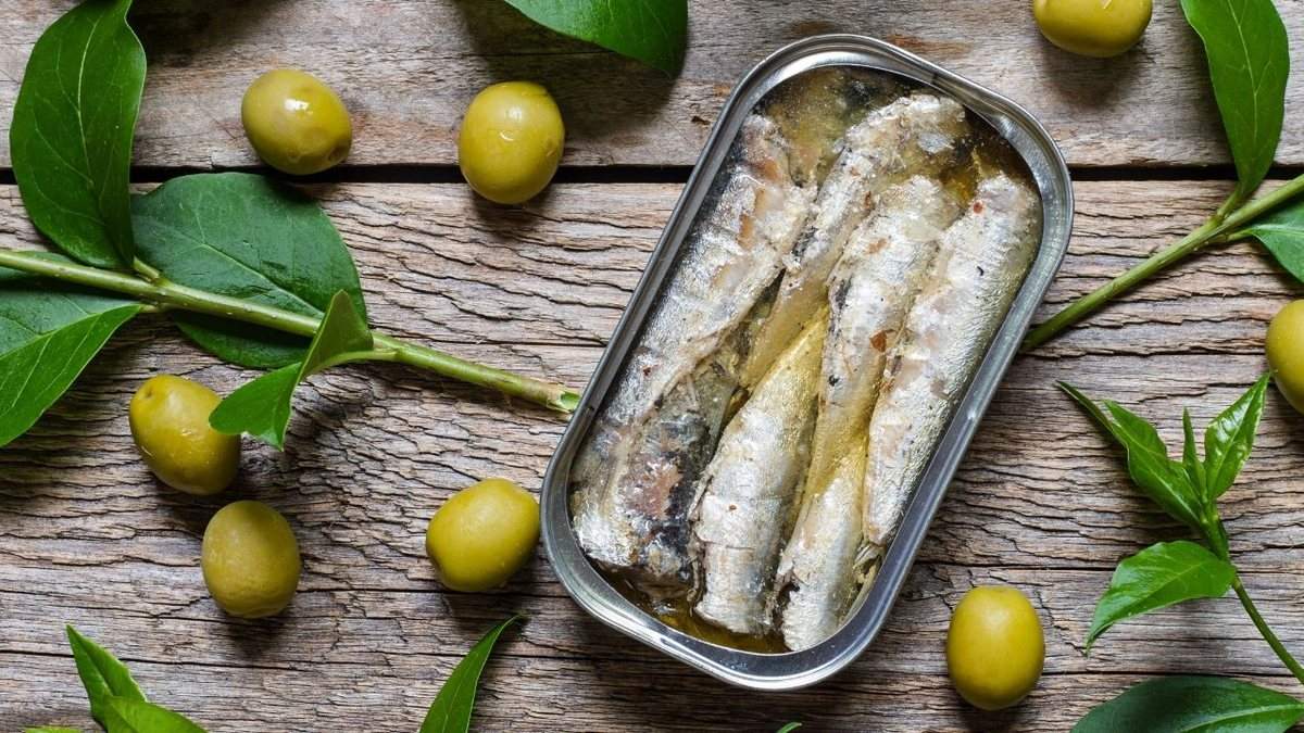 As receitas com sardinha em lata podem ser muito práticas, além de deliciosas