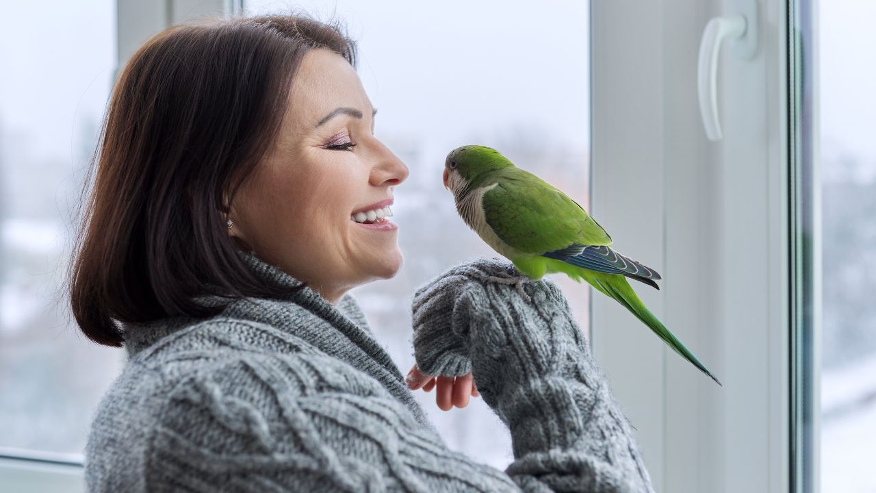 Um papagaio é o pet perfeito para pessoas do signo de gêmeos