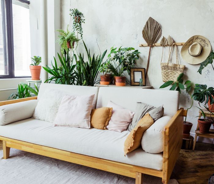 Um exemplo de item para colocar atrás do sofá são as plantas