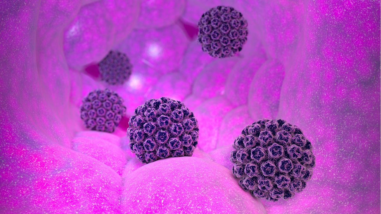 Camisinha, vacina e mais: 5 mitos e verdades sobre o câncer por HPV