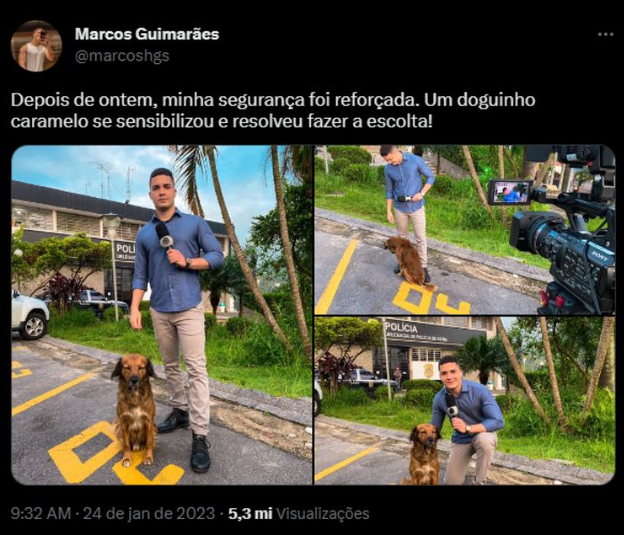 Jornalista da Record foi escoltado por um cachorro durante matéria