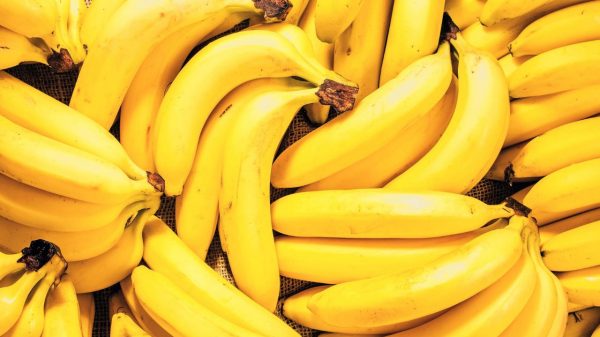 Será que é mesmo uma boa ideia seguir a dieta da banana?