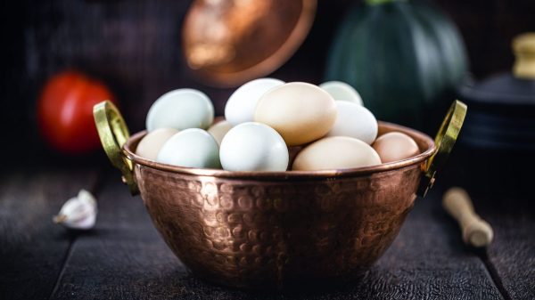 O ovo é um alimento rico em benefícios para a saúde