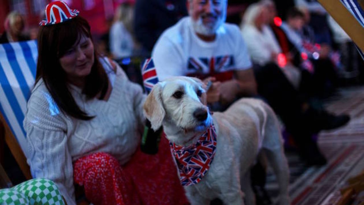 Já este cãozinho assistiu à coroação com uma bandana com a bandeira do Reino Unido