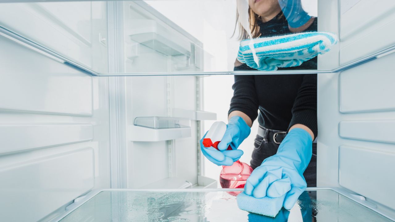 Dr. Bactéria ensina como limpar a geladeira com dicas simples