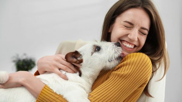 Brasil é um dos países com tutores de pets mais felizes