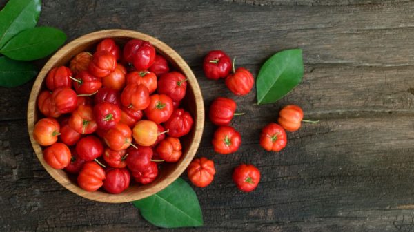 Acerola: conheça os benefícios da fruta para a saúde