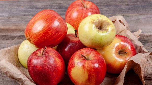 Entenda como a ingestão de uma maçã por dia pode melhorar sua saúde