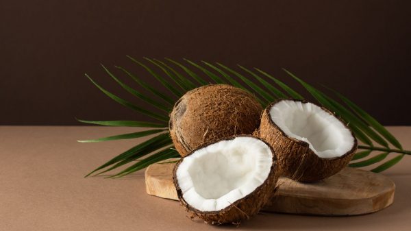 Coco emagrece? Saiba os benefícios da fruta para a saúde