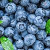 Mirtilo: confira os benefícios da fruta para a saúde