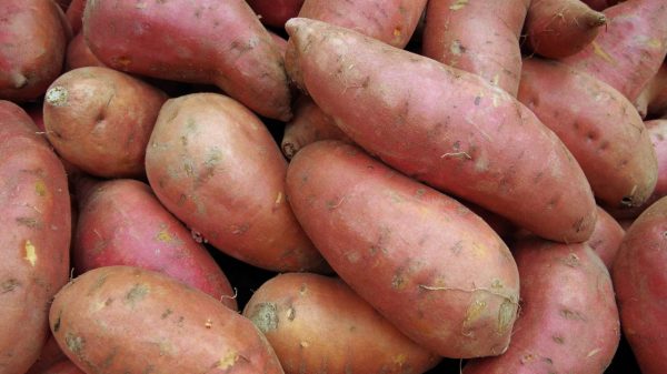 Alimento nutritivo e versátil, a batata-doce auxilia no emagrecimento e ajuda a rejuvenescer a aparência da pele