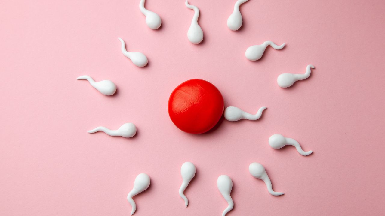 O congelamento de óvulos têm sido uma opção para muitas mulheres manterem sua fertilidade