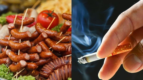 A exposição a substâncias carcinogênicas e uma dieta rica em alimentos processados são fatores associados a um maior risco de desenvolver câncer