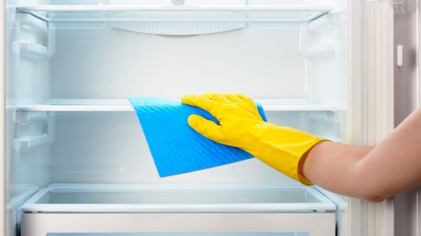 Veja passos e dicas de como limpar a geladeira