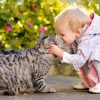 Gatos e crianças podem viver em harmonia