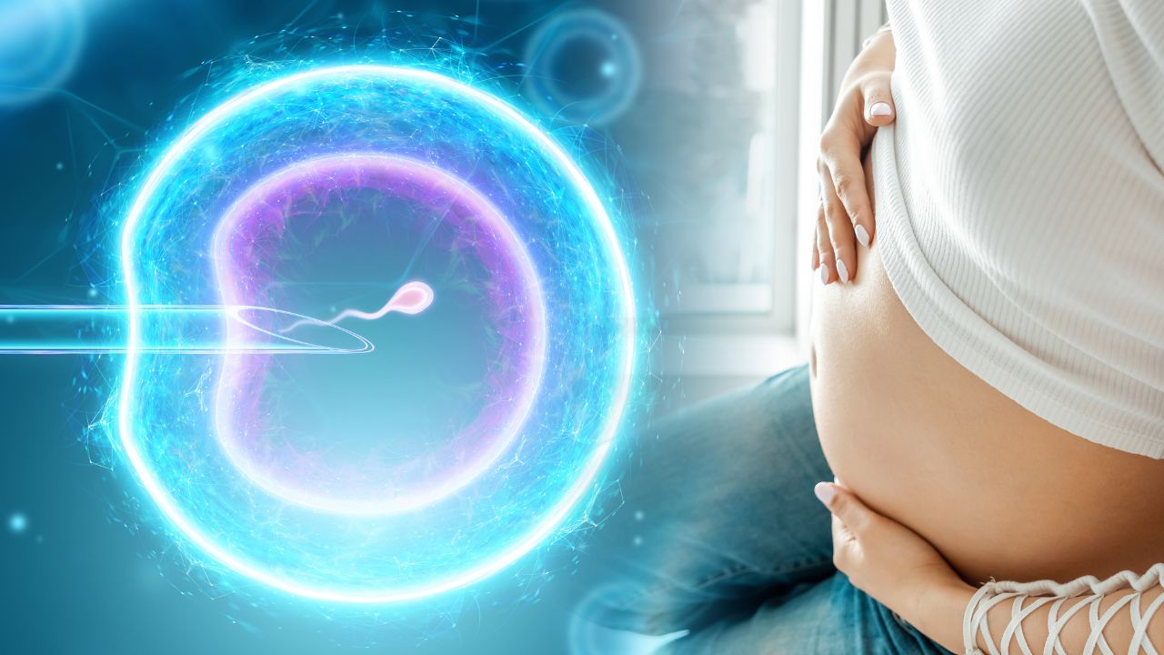 Especialistas explicam as principais técnicas de reprodução para mulheres que desejam postergar a maternidade