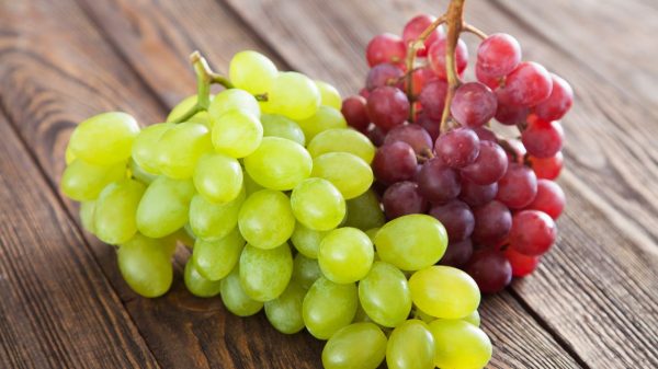 Entenda os diferentes benefícios das uvas verde e roxa